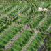 Concorde Plots Hubli