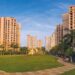Rohan Park