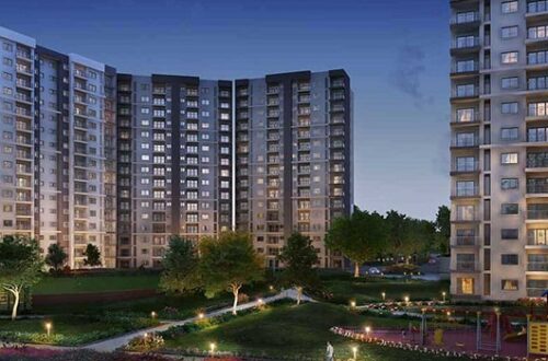 Prestige Evergreen