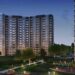 Prestige Evergreen