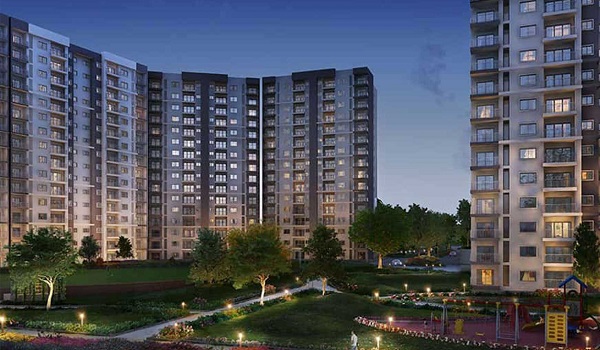 Prestige Evergreen