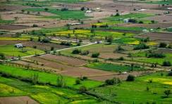 Omaxe Super Corridor Indore