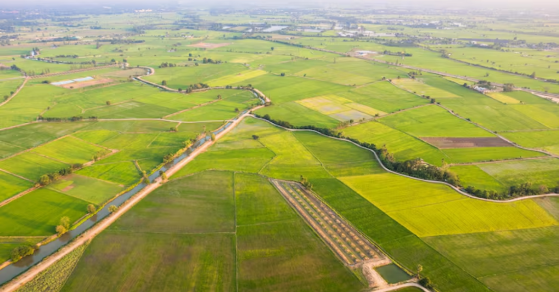 Tribeca Plots in mumbai