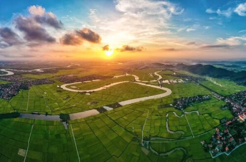 Assetz Melodies Of Life