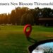 new-blossom-property-in-thirumazhisai