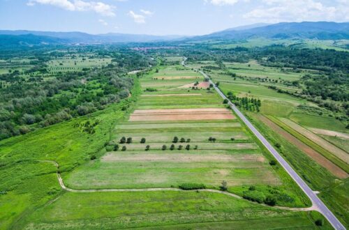 rustomjee-belle-vie-kasara-plots-price