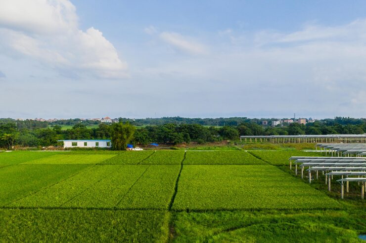 sameera-divine-square-kanchipuram