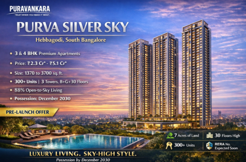 Purva Silver Sky