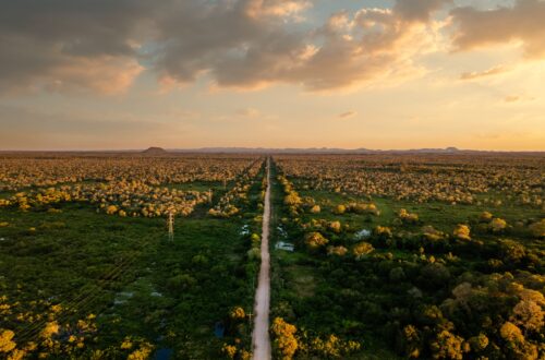 prestige-pulimamidi-premium-plots