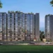 Grand Kausa City