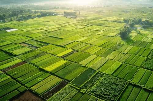 Vaishnavi Kergalli Ooty Road Prime Investment Plots Mysore 4 pngtree aerial photograph of green agricultural plots with vacant land waiting to picture image 15508502