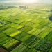 pngtree aerial photograph of green agricultural plots with vacant land waiting to picture image 15508502