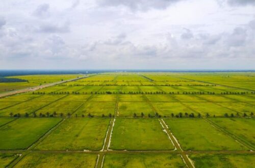 Godrej Plots Jaipur – Premium Residential Plots for Smart Investment 5 Godrej Plots jaipur