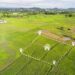 Assetz Palmscape Pre Launch Plots in Bangalore 2 Assetz Palmscape