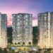 2 Sobha-Nesara-pune