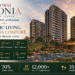 Arvind Iconia