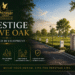 Prestige Olive Oak