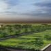 Sobha Upcoming Projects in India: Future Homes in Prime Locations 2 sobha-conserve